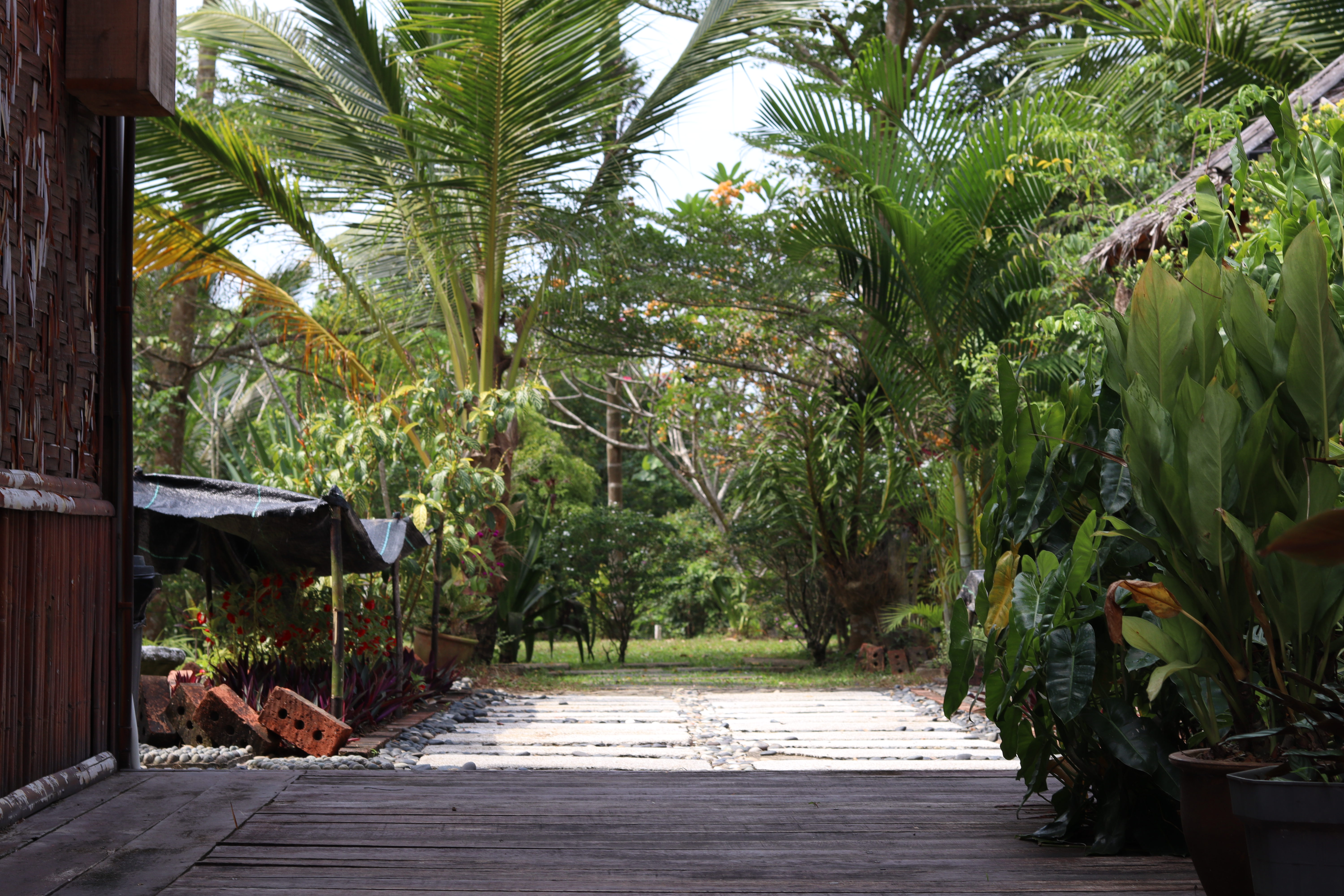 Tropical gardens surrounding Bambu compound