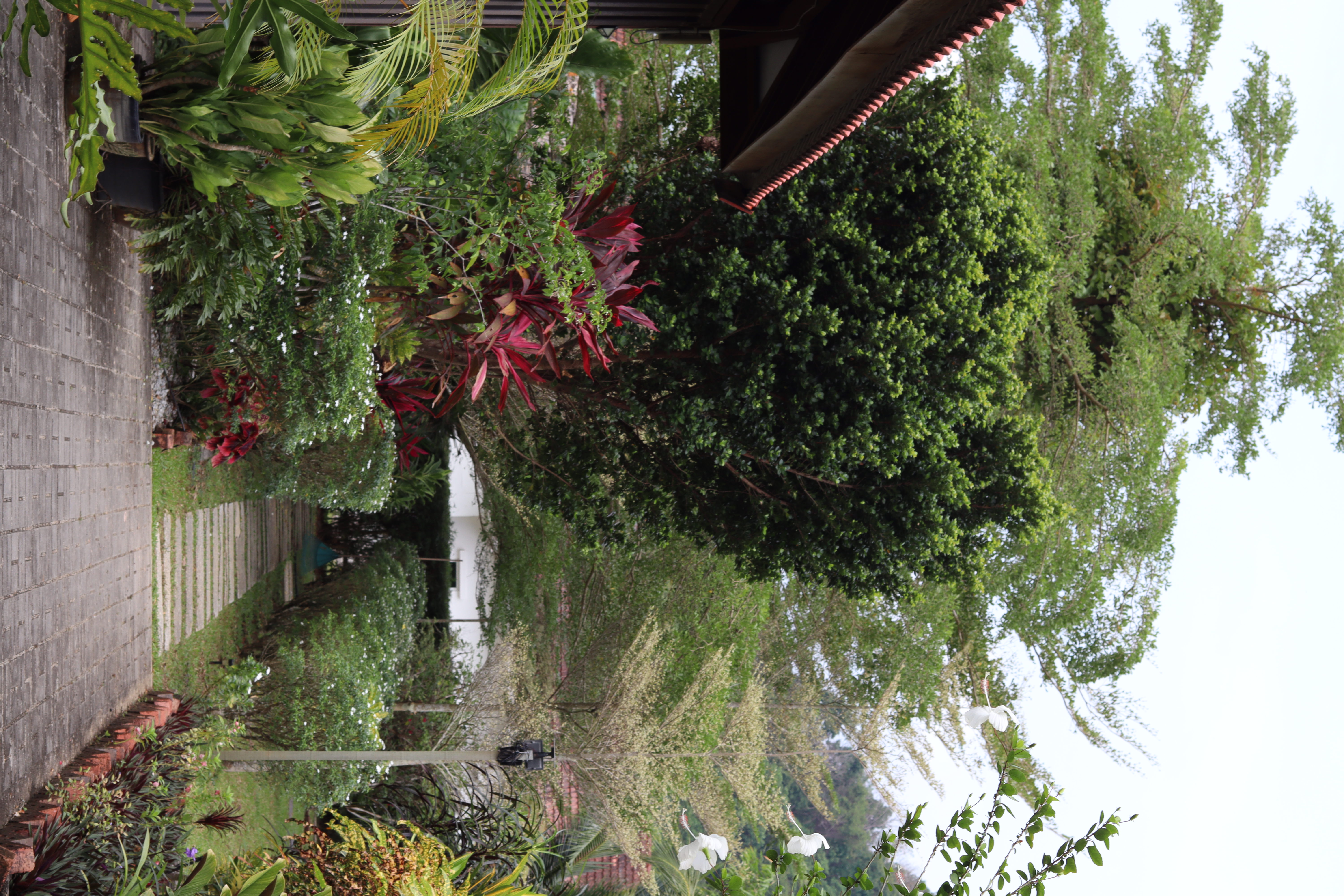 Villa courtyard view