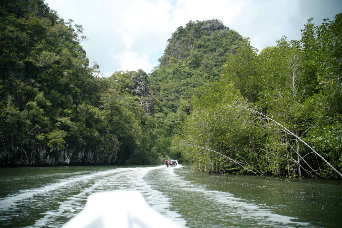 Mangrove-lined river channel near Tanjung Rhu and Kilim, north Langkawi
