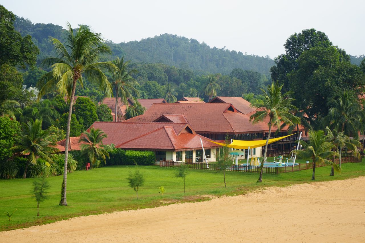 Beachfront resort with palm trees and forested hills, Langkawi