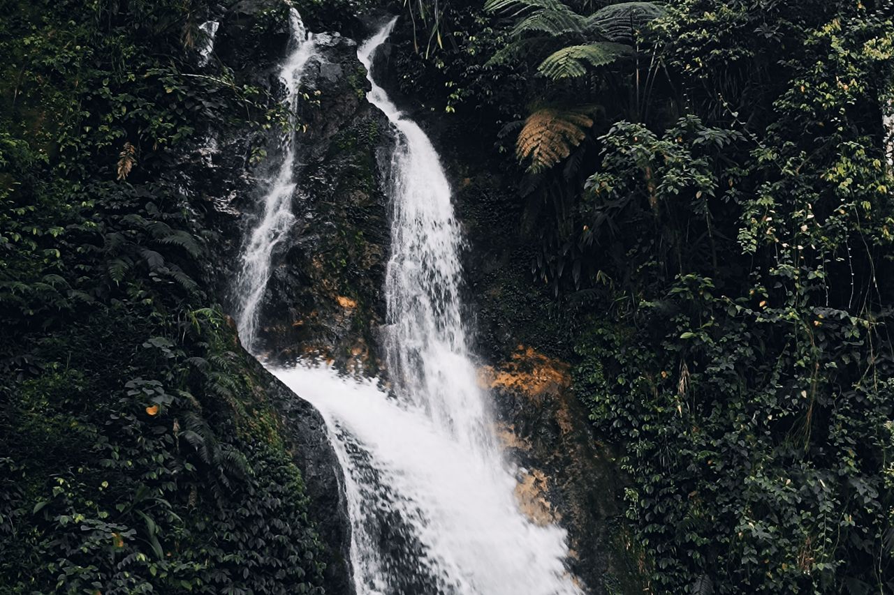 A waterfall dropping through dense green tropical forest, evocative of the Machinchang foothills, Langkawi